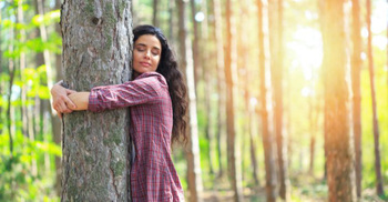 গাছ কমাতে পারে আপনার মানসিক চাপ