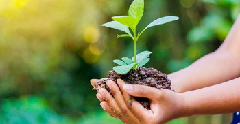 World Environment Day