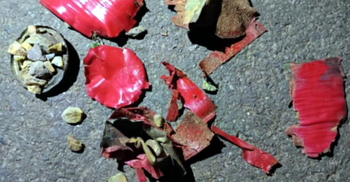 টাঙ্গাইলে পূর্ব শত্রুতার জেরে ককটেল হামলা, দুই সহোদর আহত