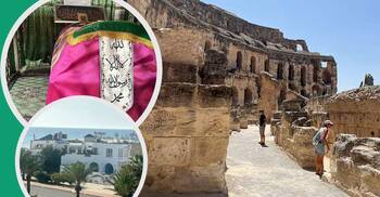 অলিভের দেশের এক তপ্ত দিন