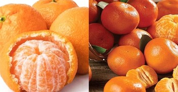 কমলা ও কেনুর মধ্যে পার্থক্য কোথায়