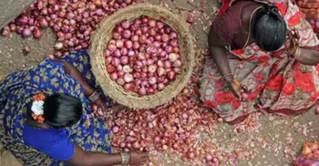 India bans export of onions till March 2024