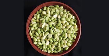 শিমের বিচিতে মাংসের চেয়ে প্রোটিন বেশি