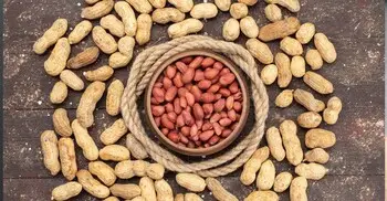 চিনাবাদাম দীর্ঘদিন ভালো রাখার ঘরোয়া টিপস