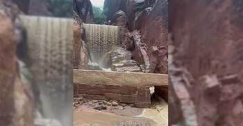 জর্ডানে বন্যা, প্রায় ১৮০০ পর্যটককে সরিয়ে নেওয়া হয়েছে