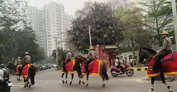 রাজপথে রাজকীয় পদচারণা অশ্বারোহী পুলিশের ঘোড়ায় থমকে গেল রাজধানী