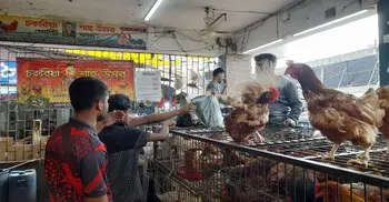 লেবু-শসার দাম কমেছে, বেড়েছে মসলা-মুরগির