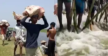 বাঁধ ভেঙে ঢুকে পড়লো পানি; হাওরের ধান বাঁচালেন কয়েক গ্রামের কৃষক