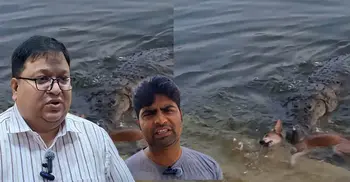 দিঘির ঘাট থেকে কুকুরকে টেনে নিলো কু'মি'র, যা জানালেন প্রত্যক্ষদর্শীরা 