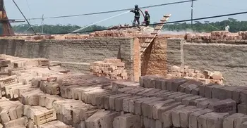 পিরোজপুরে দুই ইটভাটাকে ৩ লাখ টাকা জরিমানা