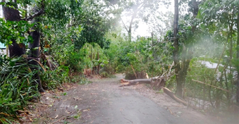 Cyclone Mocha makes landfall along Naf River coastlines