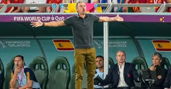 PSG close to appointing ex-Spain boss Luis Enrique