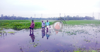 Teesta crosses danger mark as major rivers rising in B'putra basin