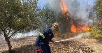 Deadly Mediterranean wildfires kill more than 40