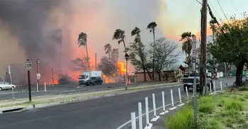 Wildfires rage in Hawaii killing at least 36
