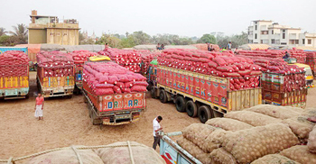 Govt allows onion import from 9 more countries