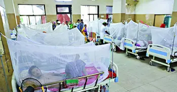 Seven dengue patients die; 2367 hospitalized in 24 hrs