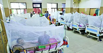 Record 21 dengue patients die; 2352 hospitalized in 24 hrs