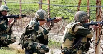 Bangladeshi killed by BSF along Chuadanga border