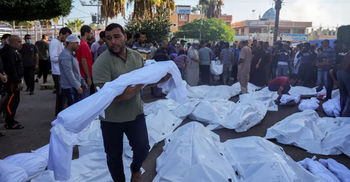 More than 10,000 Palestinians killed in Israeli attacks on Gaza