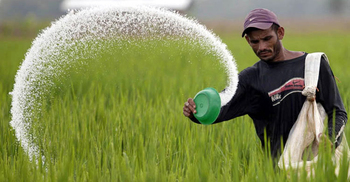 Govt to procure 90,000 MTs fertilizer, 1.10cr liter soybean oil
