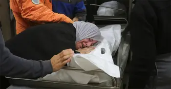 Gaza truce takes effect after 7 weeks of war