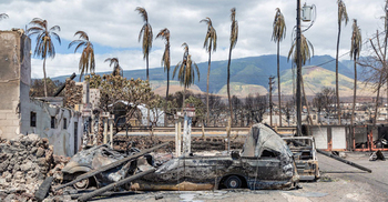 Global warming pushes ocean temperatures off the charts: study