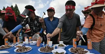 Dog meat: Why is it a sensitive topic in South Korea?