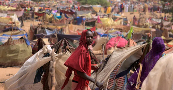 Nearly 8 million people displaced by war in Sudan: UN