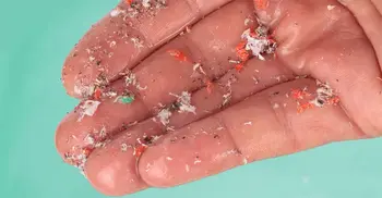 Microscopic plastics could raise risk of stroke, heart attack