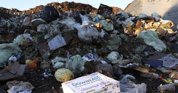 The world wastes more than 1 billion meals every day, UN report finds