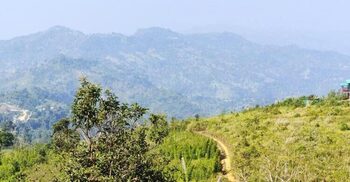 Four cases filed over Bandarban bank robberies