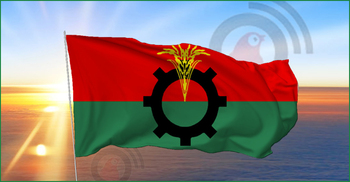 BNP decides to boycott UP elections