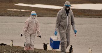 Risk of bird flu spreading to humans is ‘enormous concern’, says WHO