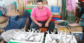 All quiet in Barishal hilsa market