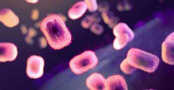 দেশে দেশে ছড়িয়ে পড়ছে এমপক্স ভাইরাস