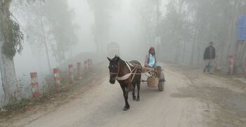 কুড়িগ্রামে বাড়ছে শীতের দাপট, ১২ ডিগ্রিতে তাপমাত্রা
