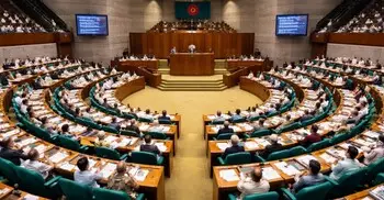 গণভোটে ‘হ্যাঁ’ ভোট জিতলে উচ্চকক্ষ গঠিত হবে কীভাবে?