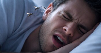 মশা কেন কানের কাছে এসেই গুনগুন করে?