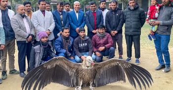 গাইবান্ধায় বিপন্ন ‘হিমালয়ান গৃধিনী’ শকুন উদ্ধার