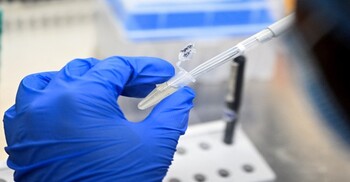 শেষ ধাপে ভারতের ডেঙ্গু টিকা, আগামী বছরই বাজারে আনার লক্ষ্য