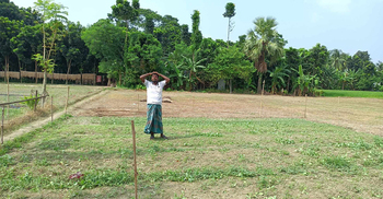 ঋণের টাকায় গড়া বীজতলা শত্রুতায় শেষ
