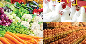 Vegetable prices down Tk 20–30 per kg; eggs, chicken fall too