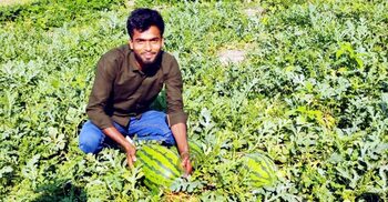আগাম সবজি চাষে সফল জিসান, চলতি মৌসুমেই বিক্রি সাড়ে ৩১ লাখ