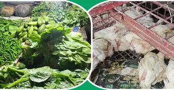 খুলনায় সবজির বাজার স্থিতিশীল, চড়া মুরগির দাম