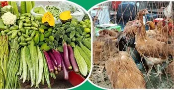 বেশির ভাগ সবজির কেজি ৮০ টাকার ওপরে, কমছে মুরগির দাম