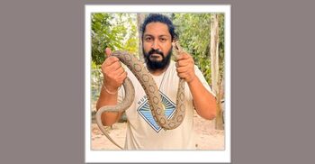 Russell’s viper rescued in Dhaka’s Dohar