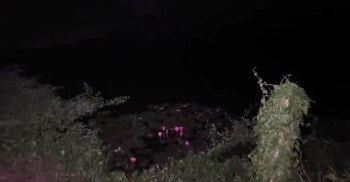 মুন্সিগঞ্জে পুকুরের পানিতে ডুবে ভাই-বোনের মৃত্যু