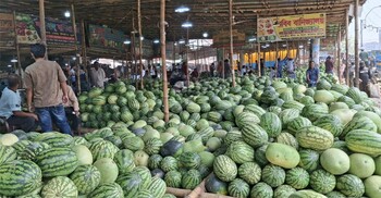 বাজারে ৫০ টাকায়ও মিলছে আস্ত তরমুজ
