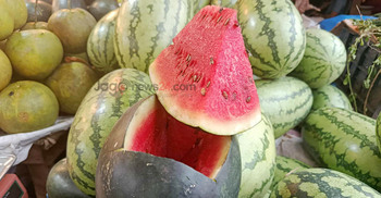 গ্রীষ্মের তরমুজ মিলছে শরতেও, দাম ৬০-৮০ টাকা কেজি